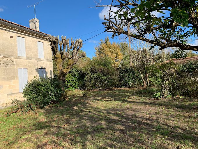 Élagage d'arbres en bord de propriété