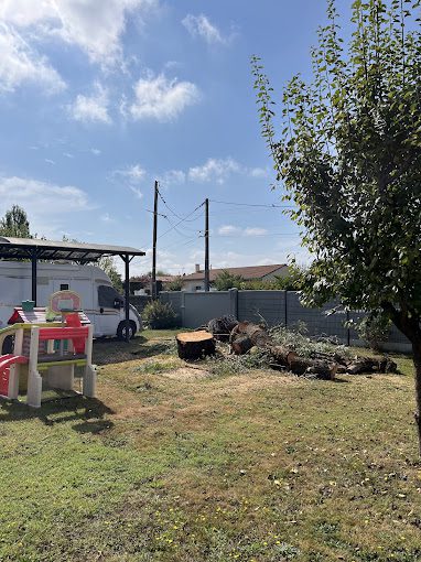 Abattage d'arbre dangereux