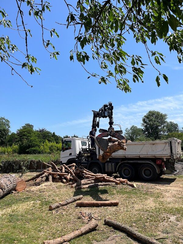 Déchets verts évacués, terrain net