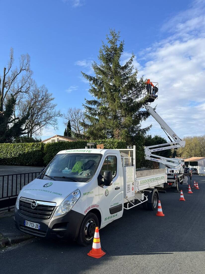 Intervention de l'artisan élagueur